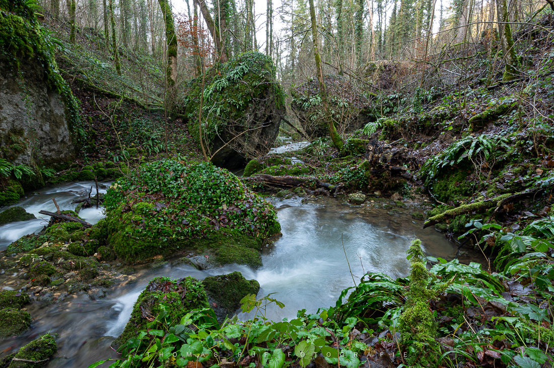 Waldbach | Grenze zwischen SO und BL