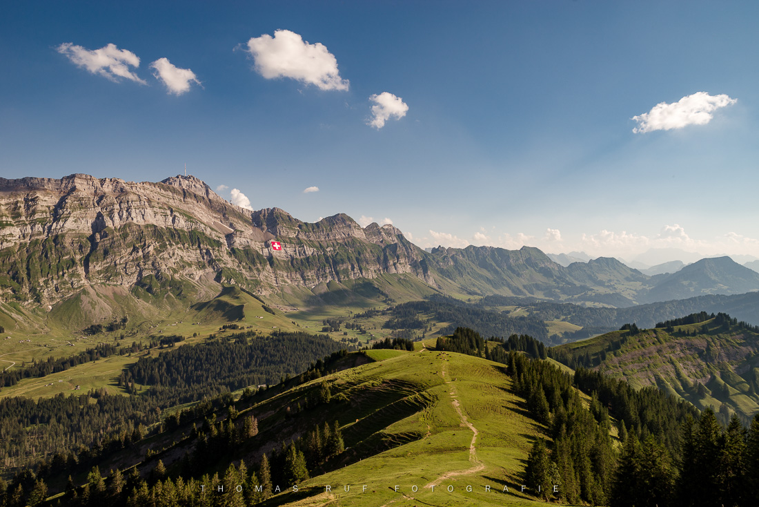 Säntis und Alpsteinkette vom Kronberg aus gesehen – Sommerlandschaft mit kleinen Schönwetterwolken am blauen Himmel